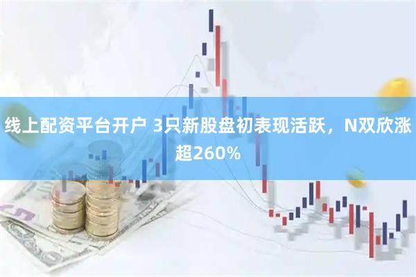 线上配资平台开户 3只新股盘初表现活跃，N双欣涨超260%